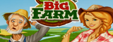 Big Farm